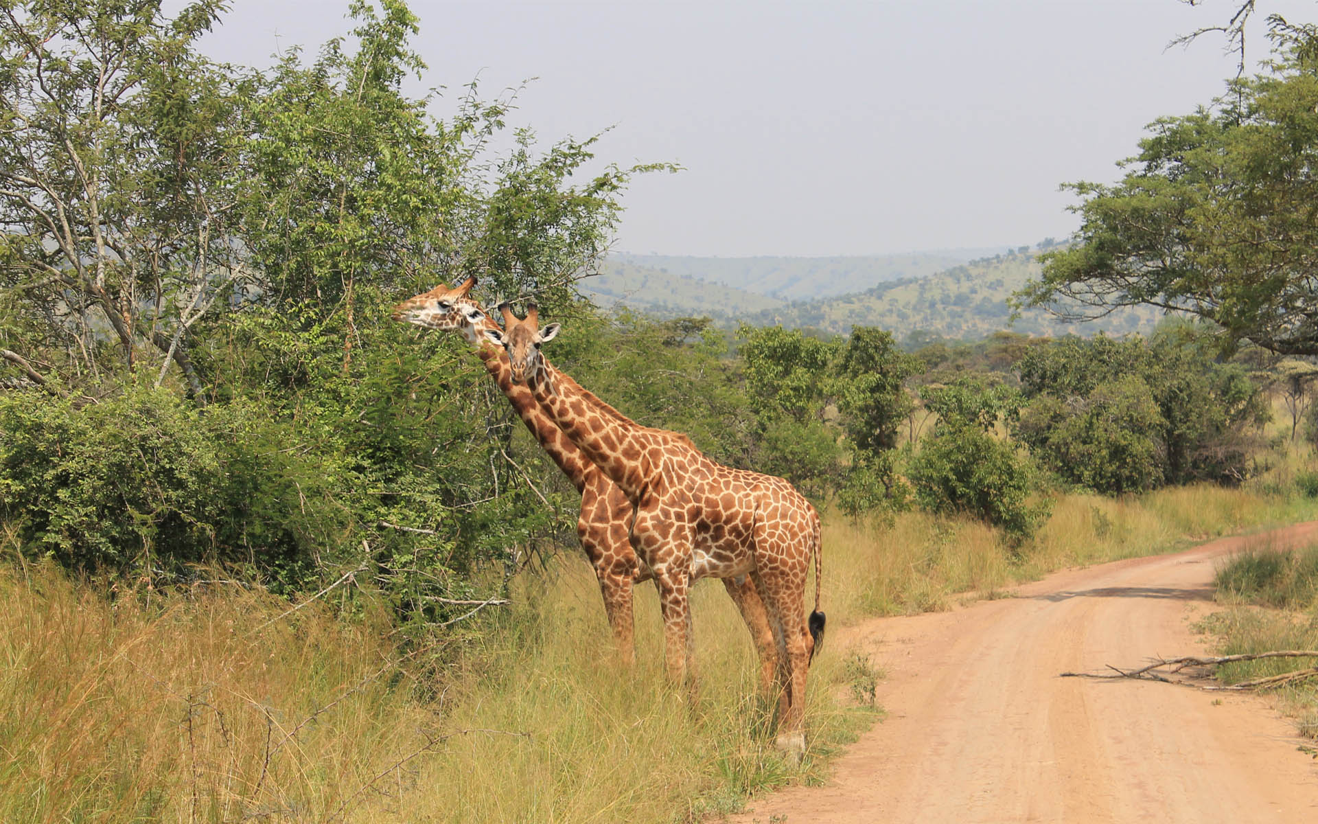 Akagera National Park