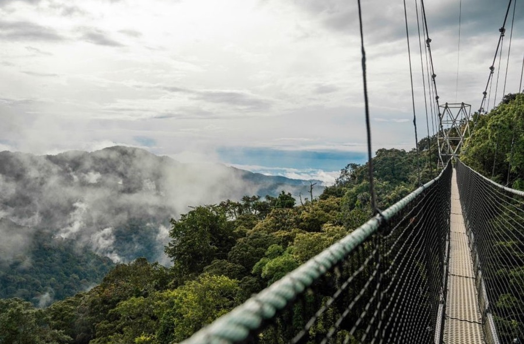 Nyungwe National Park