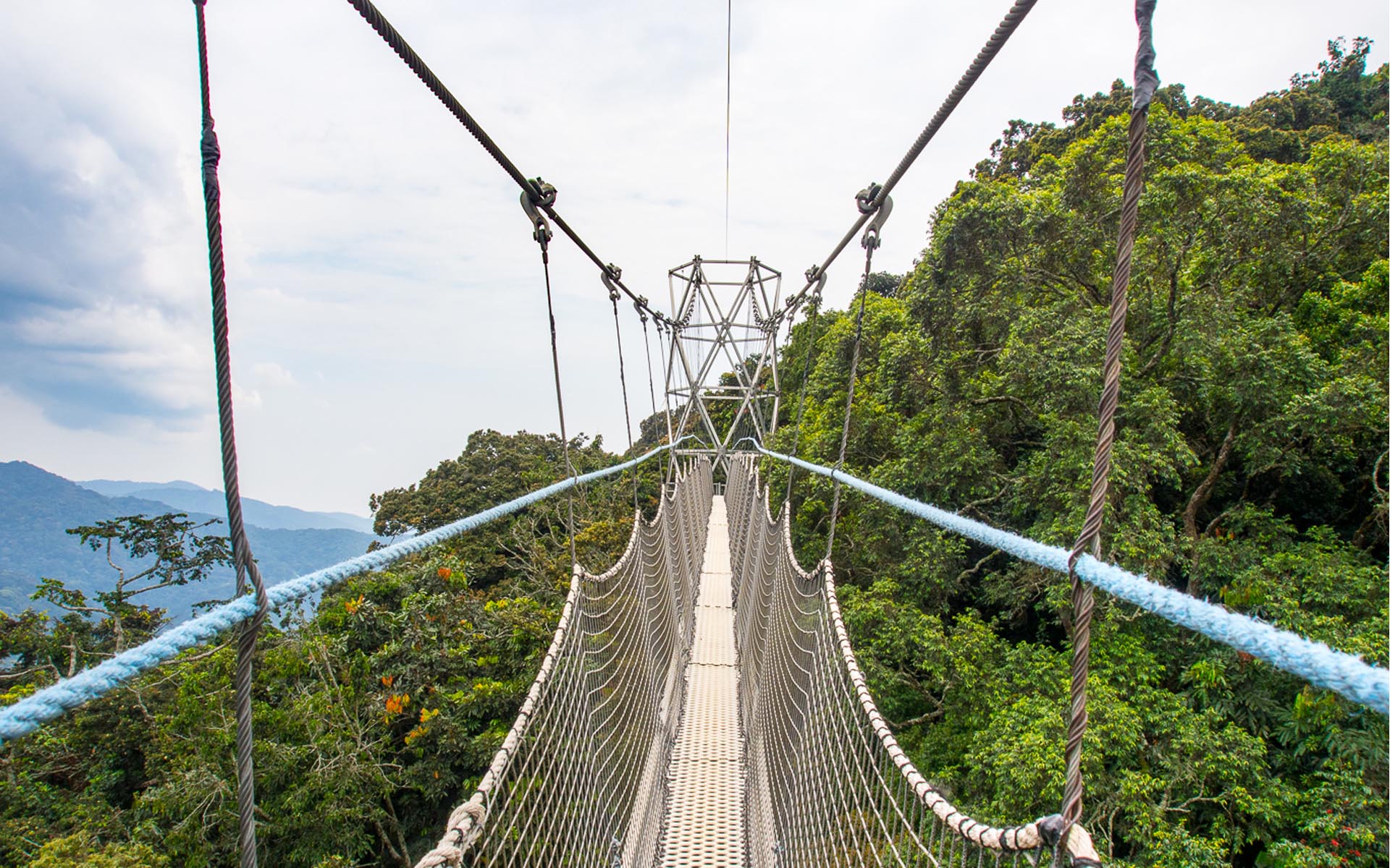 Nyungwe National Park