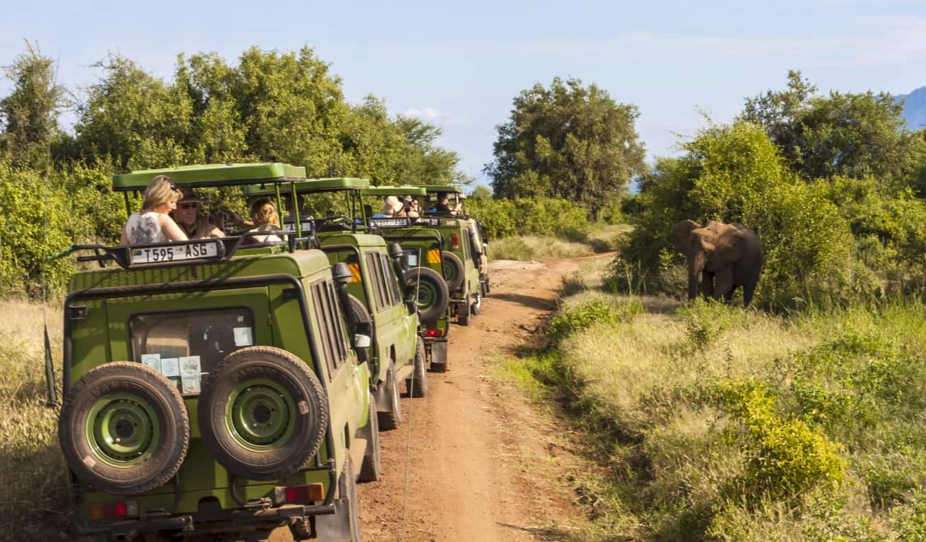 Safari Packages