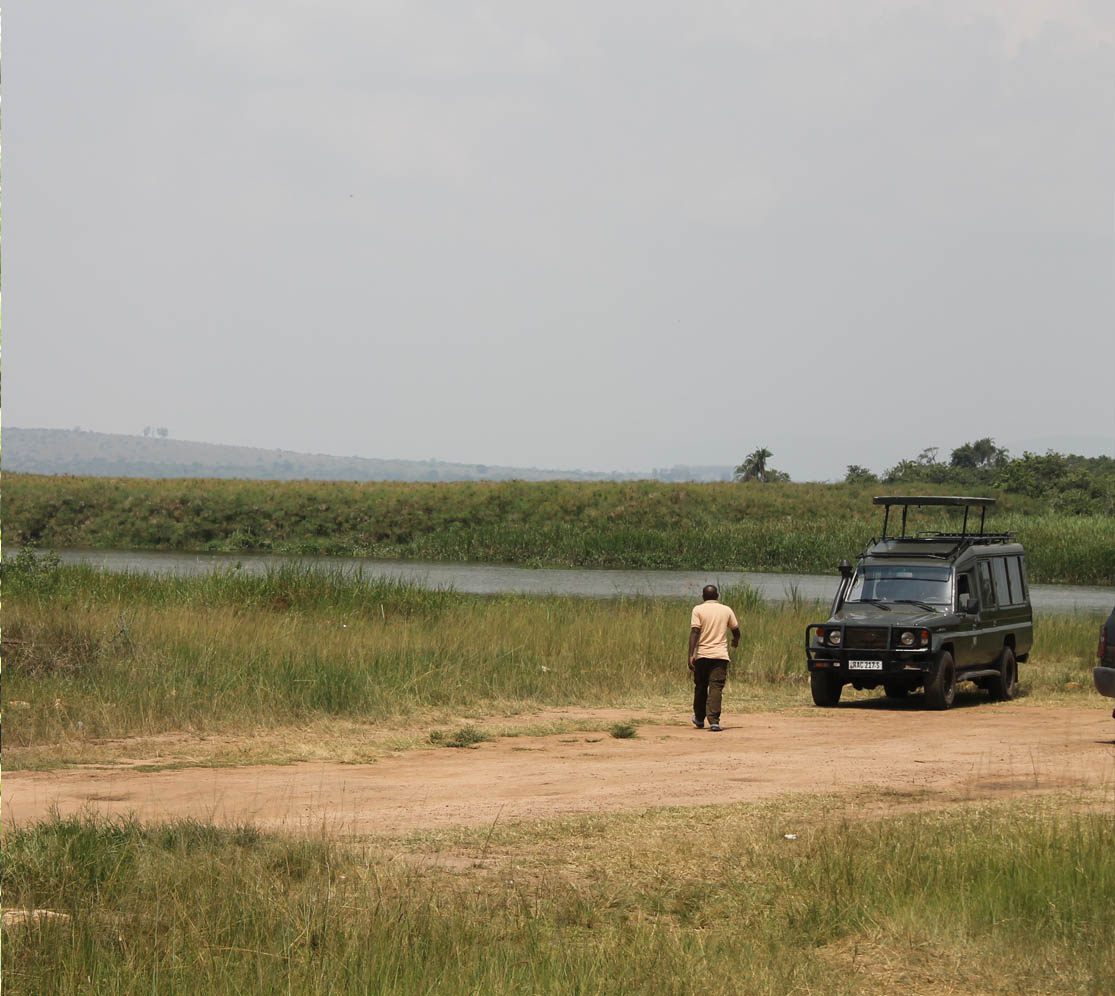 public/img/posts/images/explore-rwanda-rsquo-s-wildlife-and-rolling-savannahs-68aa3c77acb1c-post.jpg